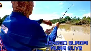 Mancing Udang Galah Kampung Gombang,Udang dah mula mengganas guys#fishing #prawns #udang2024
