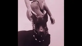 [FREE FOR PROFIT] HARD ZILLAKAMI TYPE BEAT 