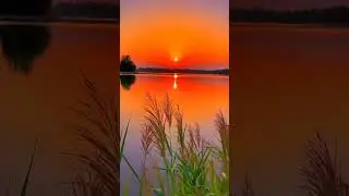 nature video nature song nature reels nature photography natural song Hindi 