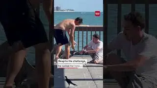 This pelican had a fishing hook in its beak  #goodsamaritan