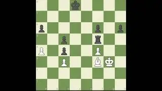 Ежедневная задача на chess.com #chess #шахматы