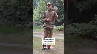 Правильная экипировка грибника👍#fortmen #грибы