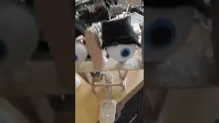 Animatronic project update #5