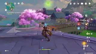 Sunday GENSHIN IMPACT