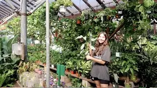Cool Houseplants in Time for Summer 😎