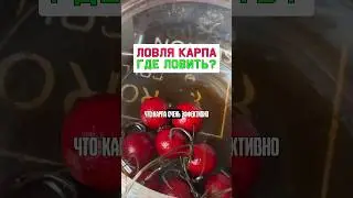 Как ловить карпа? #карпфишинг