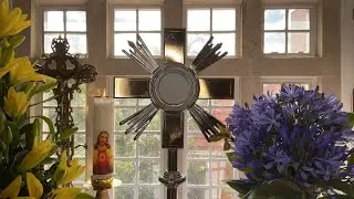 Contemplative Prayer Before the Blessed Sacrament. Video 4. Friar Alejandro Tobón, OCD.