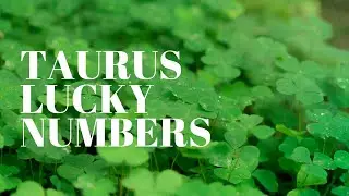 Taurus May 2021 Lucky Numbers
