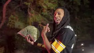 Nixta - 