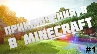 Мои старые приключения 2013 года #1 Тут непонятно что