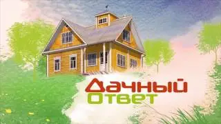 Теплые полы Thermo в программе «Дачный ответ» - Кухня с пробковой столовой