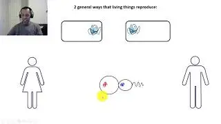 BIOL 107 Genetics Pt. 1: The Basics