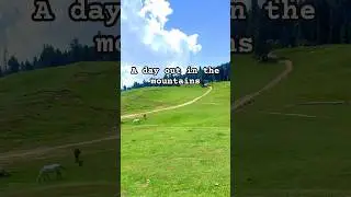 Mini vlog #kashmir #kashmiri