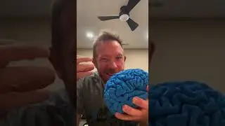 This is a 3D-PRINT of my OWN BRAIN!! 😲 