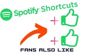 Spotify - Fans Also Like