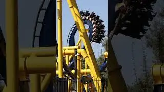 Top 5 Things at Busch Gardens Tampa