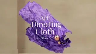 Art Directing Cloth in Houdini