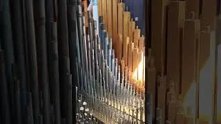 Listen to my organ barking.