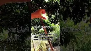 #fypシ