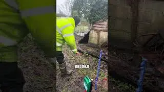 The Secret to Electric Pet Fencing ⚡😲