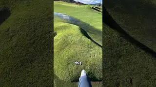 Why Your Lawn Is Bubbling⁉️😱