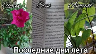 Последние дни лета ☀️🌱🌸