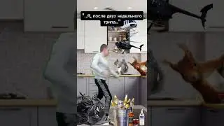 Трип с белкой , был весел #юмор #мем #прикол #жиза #мемы #угар