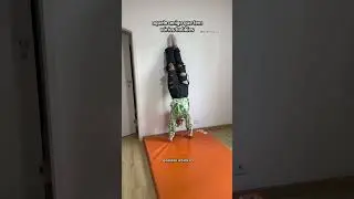 AMIGO COM VÁRIOS HOBBIES - bárbara coura #shorts