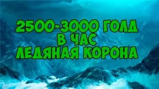 2500-3000 голд в час. Фарм золота на оффе World of warcraft