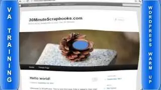 Virtual Assistant Training   Wordpress 3 Step Install