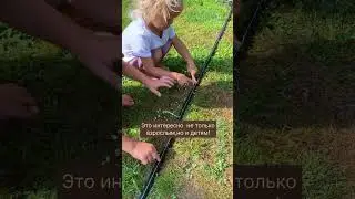 Система  полива грядок
