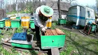 Работа на пасеке 7 мая 2022
