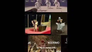 Re- post of strange TikTok lives