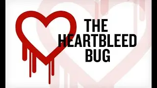 SSL Heartbleed Detection vulnerability ( CVE-2014-0160).