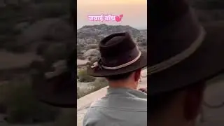 जवाई बांध सुमेरपुर leopard area