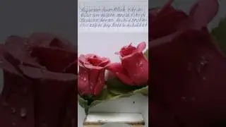 Olur Hakkla muhabbet 13495