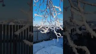Ямьле кыш көнендә #авылда