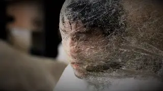 ПАРЕНЬ ПРОСНУЛСЯ В КОКОНЕ ПОСЛЕ НАШЕСТВИЯ ОГРОМНЫХ ЖУКОВ!!!