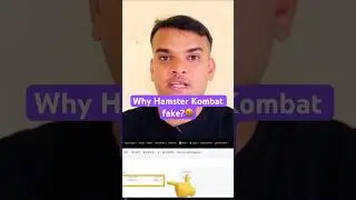 Is hamster kombat real or fake? #hamsterkombat #taptoearn #Crypto