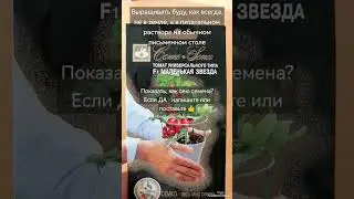 СКОРО БУДУ СЕЯТЬ! Новые для меня сорта домашних 