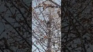 18 февраля 2023 г.