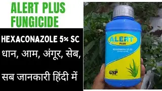 Hexaconazole 5% sc || Alert plus fungicide || gsp crop science || Systemic fungicide ||