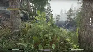 2023 Skyrim SE with Ray tracing and Parallax