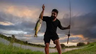 Solo no Pântano da Flórida Capturando Peixes