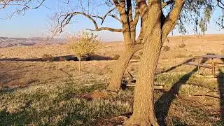 #NE#YAPAYIM(#NÖRÜYÜM