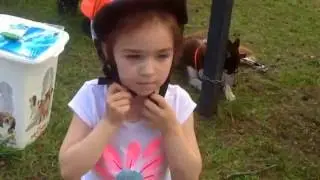 Катание на ХАСКИ | Дети и СОБАКИ ПОРОДЫ ХАСКИ. Dogs and babies