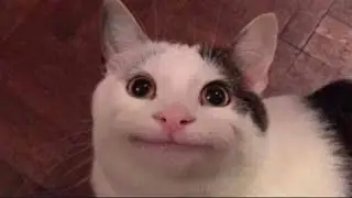 speedruunning by changing school account my school account