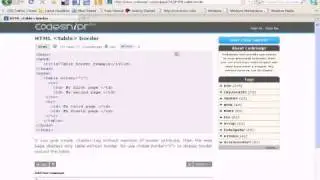 HTML Tutorial :  table border