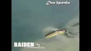 Воблер Raiden Water King 190