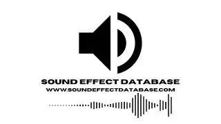 Cartoon head hit ding sound effect